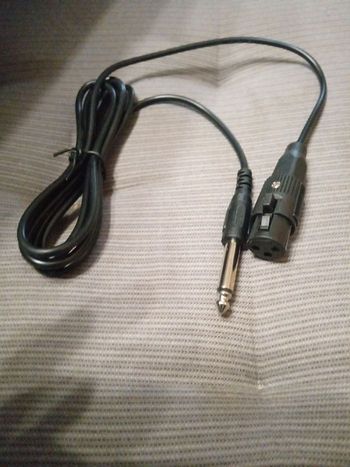 Câble microphone (XLR - Fiche Jack 6.3 mm)