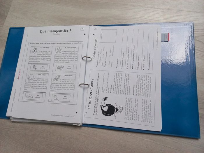 Classeur lecture documentaire cp /ce1 animalier - photo numéro 6
