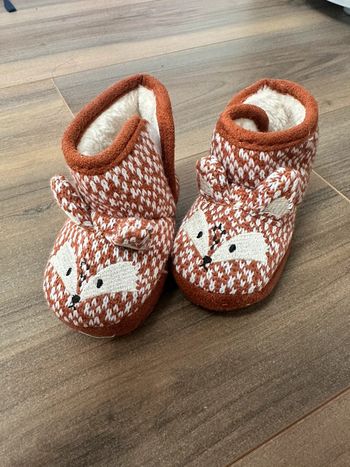 Chausson renard