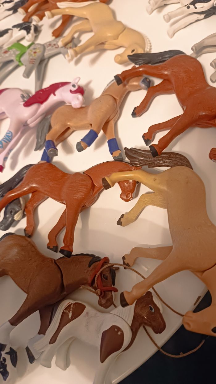 Playmobil chevaux - photo numéro 4