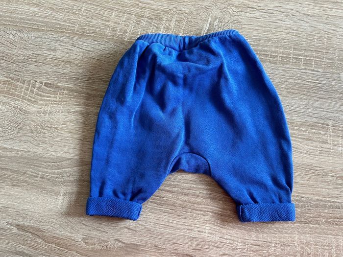 Ensemble - 1 mois - photo numéro 4