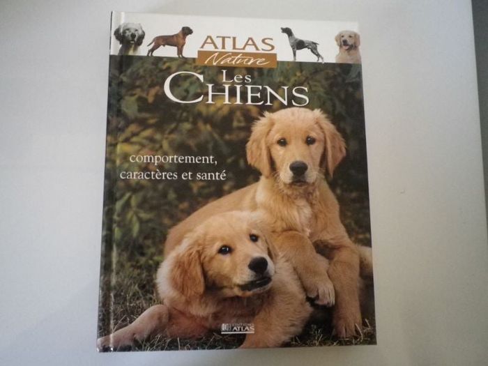 LES CHIENS