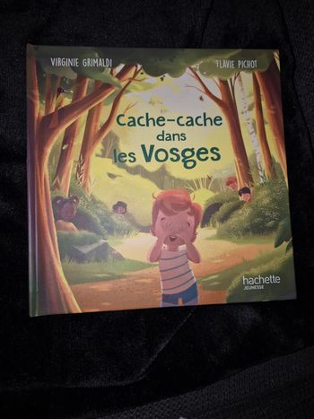 Livre cache-cache dans les Vosges