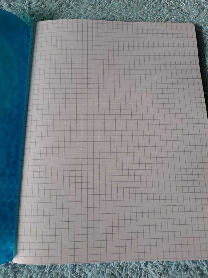 Cahier - photo numéro 2