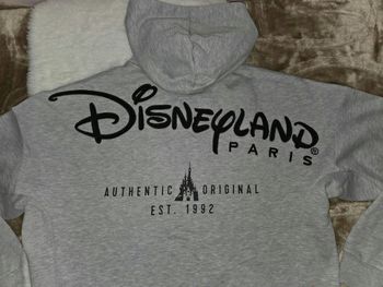 Sweat zip à capuche logo ©️ Disneyland Paris taille L +1 goodies Disney 🎁 offert
