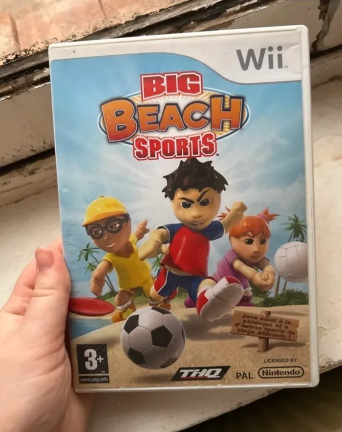 Jeu Wii big beach sports