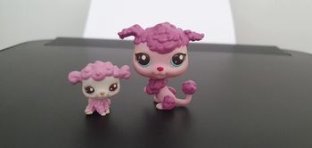 Littlest Pet Shop année 2007 Duo Mzman et Bébé caniche  Chien