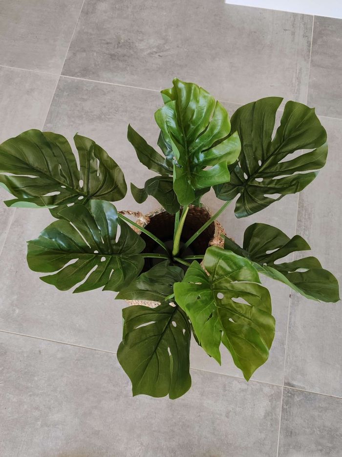 Plante artificielle Monstera 60 cm + panier en osier - photo numéro 2