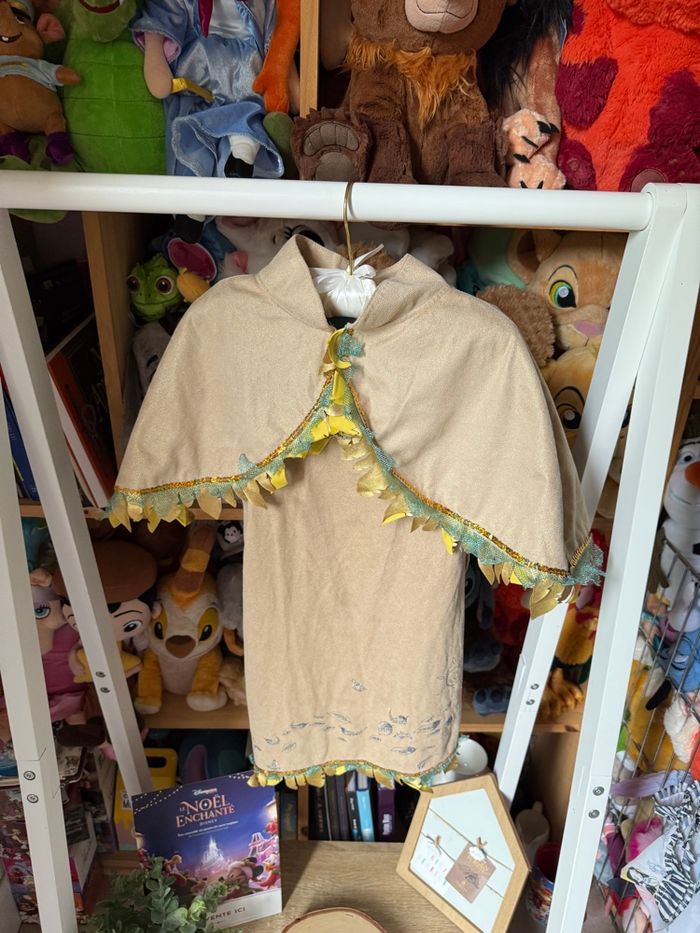 Déguisement Disney princesse Pocahontas - photo numéro 6