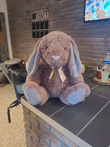 Lapin peluche