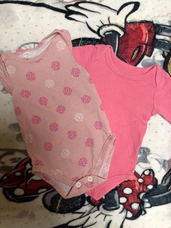 Lot body