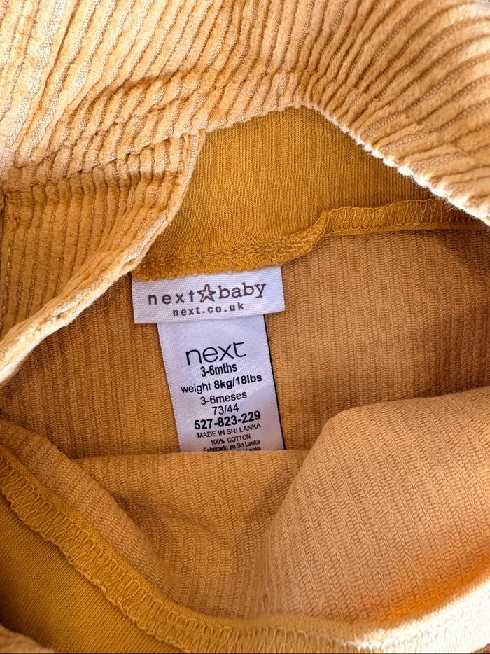 Robe velour chat - photo numéro 3