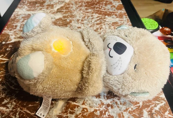 Loutre câline - photo numéro 4