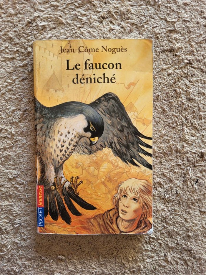 Roman jeunesse Le faucon déniché de Jean-Côme Noguès