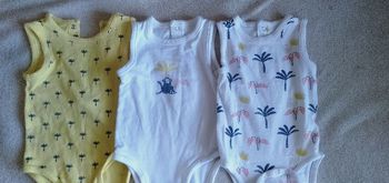 Lot de 3 body manches courtes 9 mois