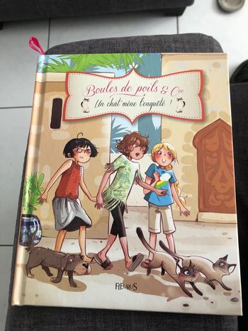 Livre boules de poils et cie