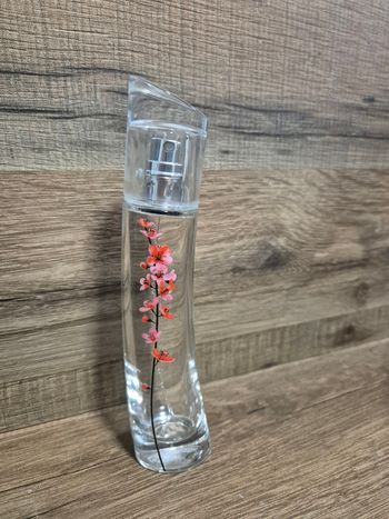 Collection bouteille de parfum vide