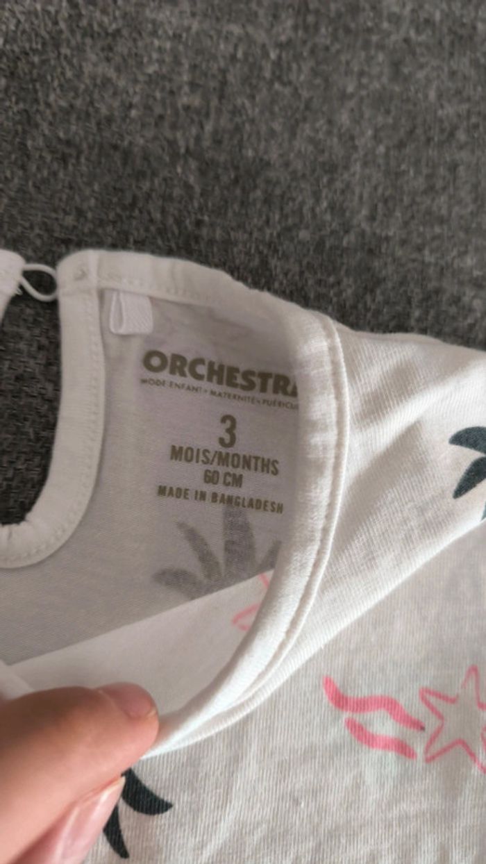 Lot de tee-shirts - photo numéro 4
