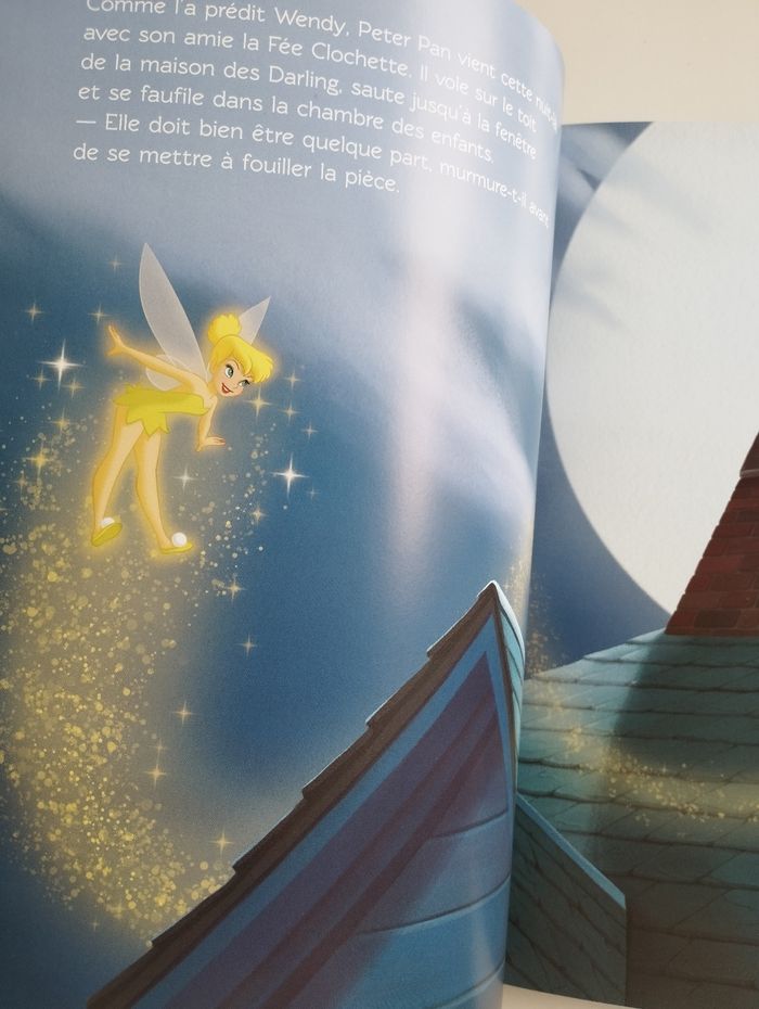 Livre Disney - photo numéro 9