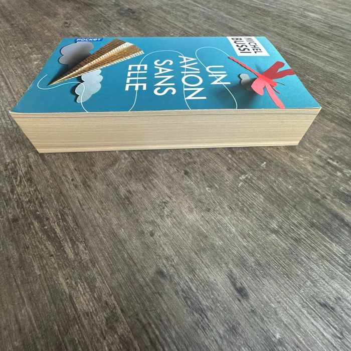 Michel Bussi - un avion sans elle - photo numéro 3
