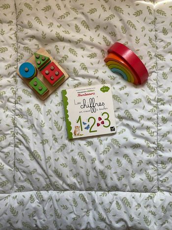 livre mes premiers ateliers montessori les chiffres à toucher