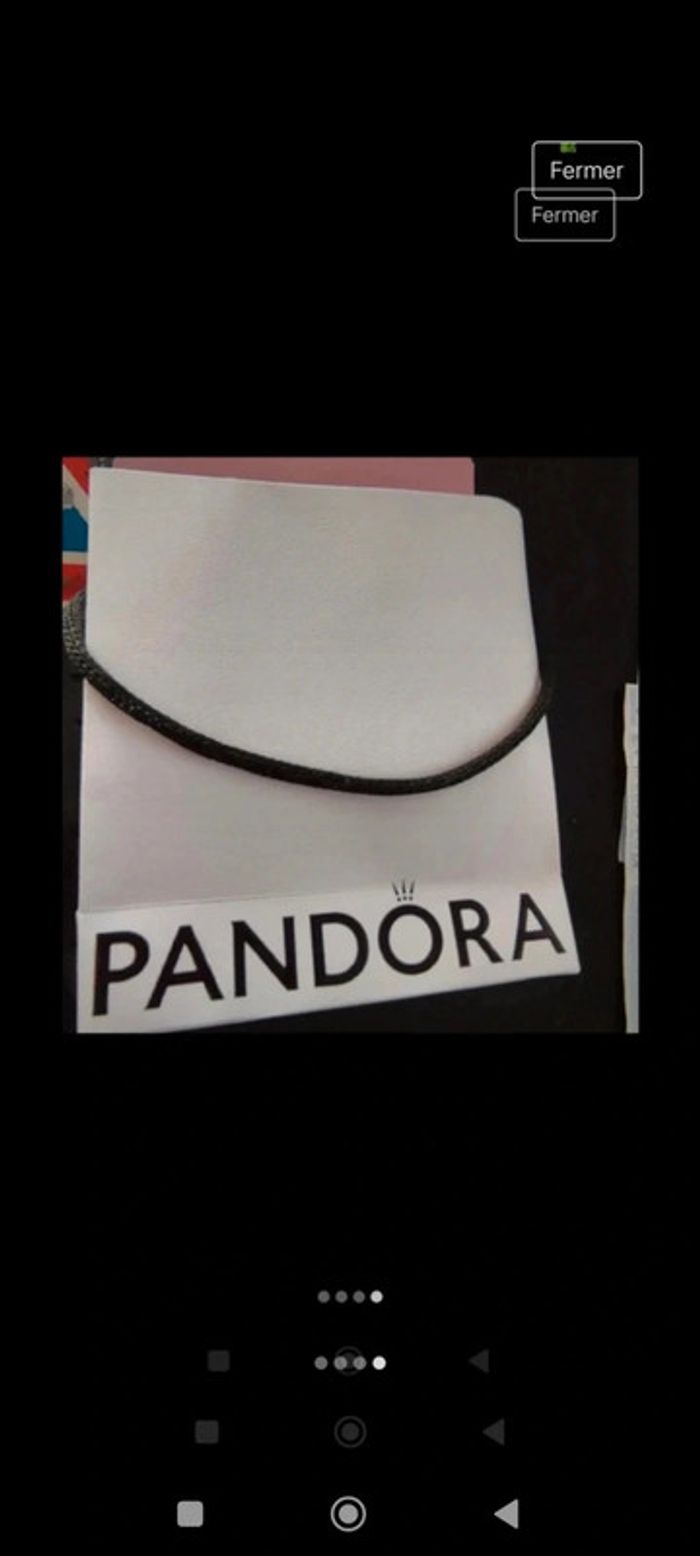 Jonc Pandora - photo numéro 4