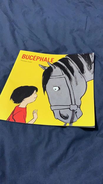 Livre bucéphale ecole des loisirs