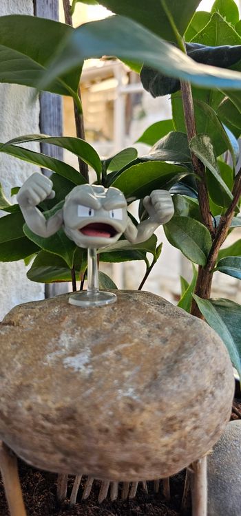 Super figurine Pokemon Nintendo racaillou 
