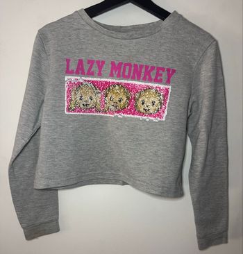 Sweat gris singe /