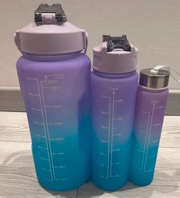 Lot de 3 gourdes avec paille