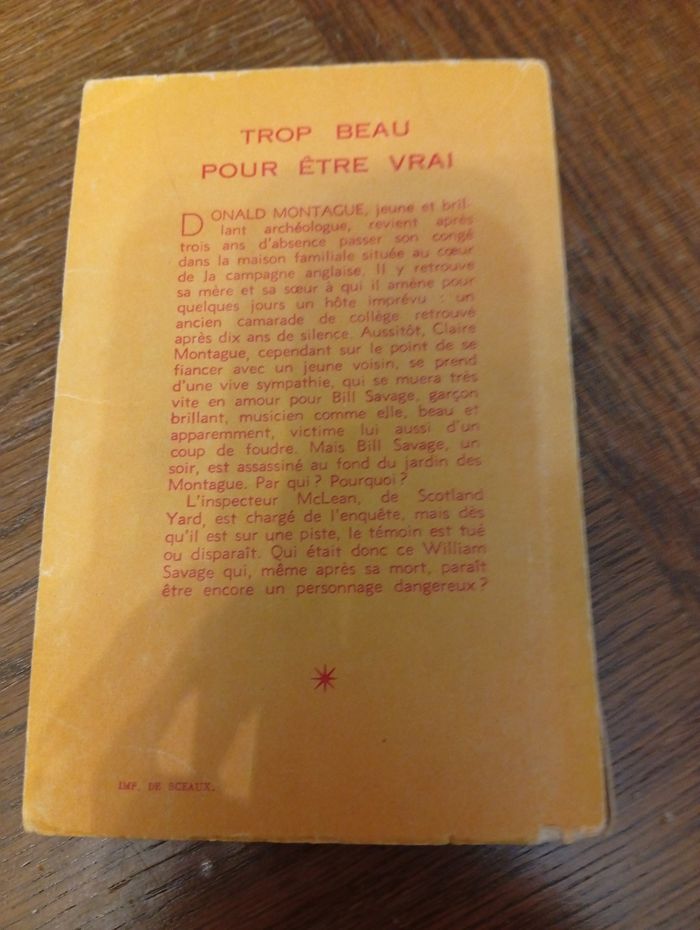 Trop beau pour être vrai - photo numéro 2