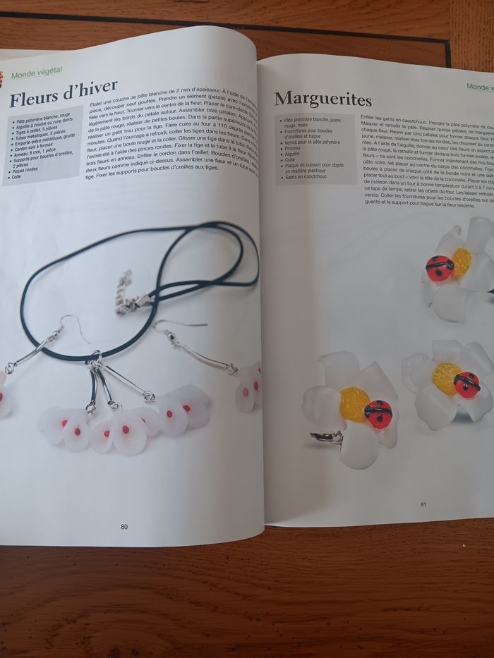 Livre pâte polymere - photo numéro 6