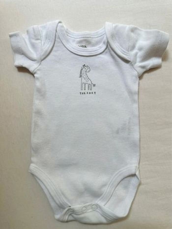 Lot 7 bodies manches courtes 1 mois - photo numéro 4