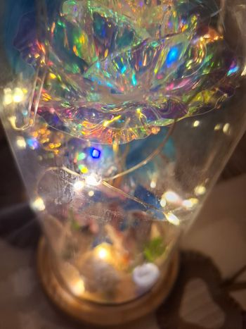 Lampe