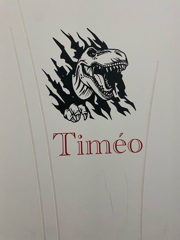 Stickers porte - photo numéro 3