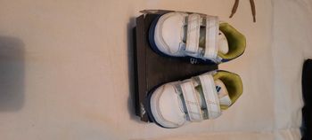 Basket  adidas  P.19