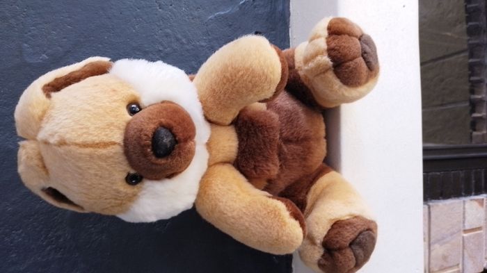 peluches - photo numéro 5