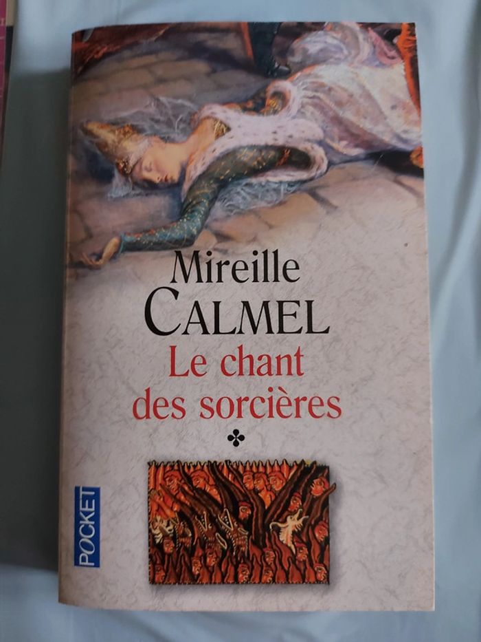 Le chant des sorcières tome 1