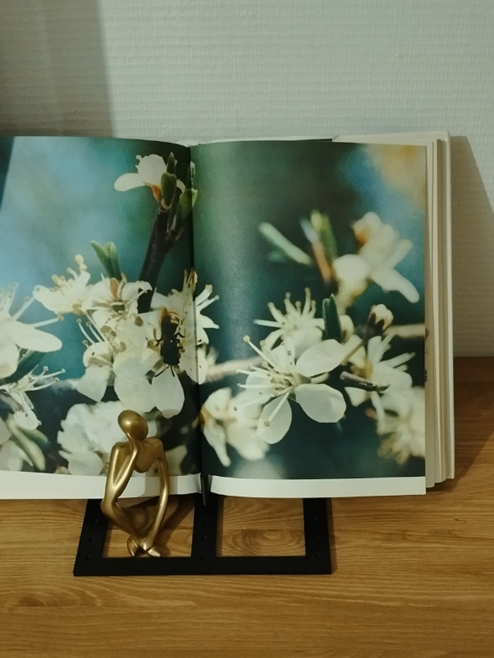 Ouvrage Flore d'Europe édition Gründ 1975 - photo numéro 7