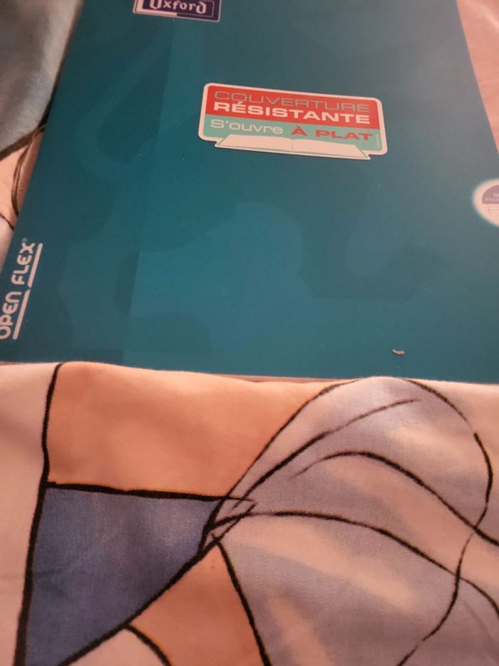 Lot 3 cahiers oxford 24x32 - photo numéro 2