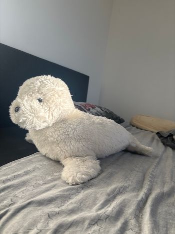 Peluche porte pyjama phoque
