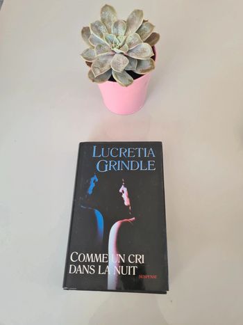Comme un cri dans la nuit de Lucretia Grindle