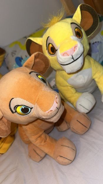Lot roi lion