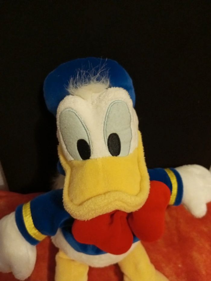 Donald Walt Disney Company - photo numéro 2