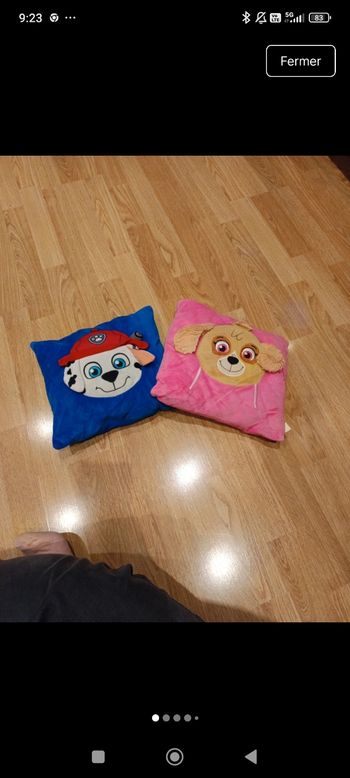 2 coussin pat patrouille 