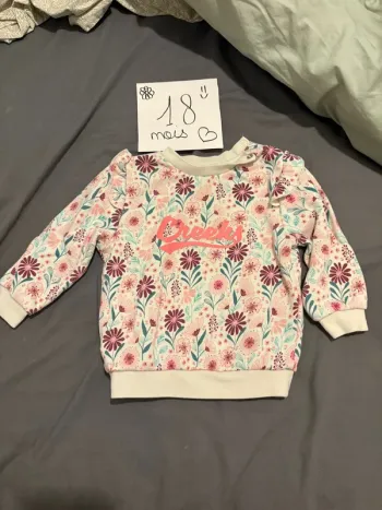 Pull 18 mois