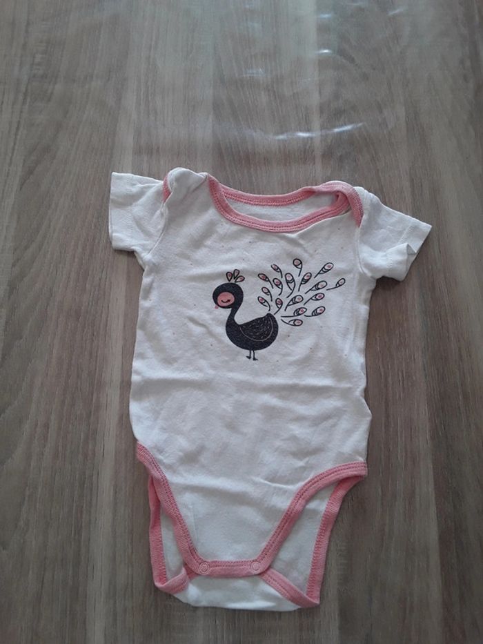 Lot de 4 bodie manche courte 6mois - photo numéro 3