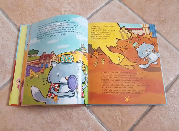 Livre - photo numéro 4