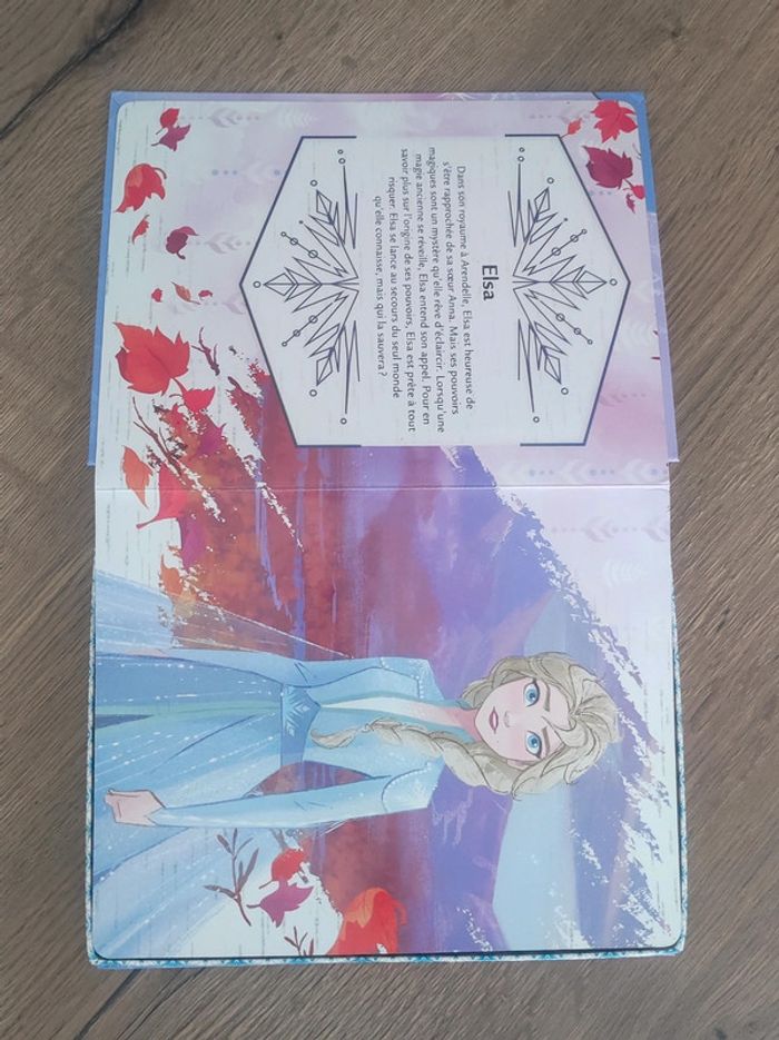 Livre Reine des Neiges 2 Disney - photo numéro 2