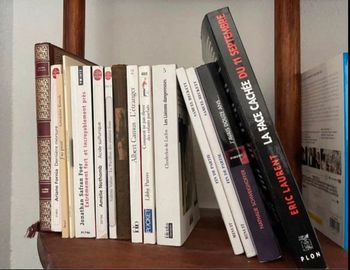 + de 100 romans et autres en tous genres (prix variables)